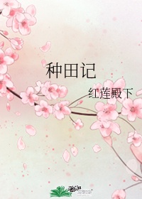 种田记
