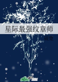 星际最强纹章师